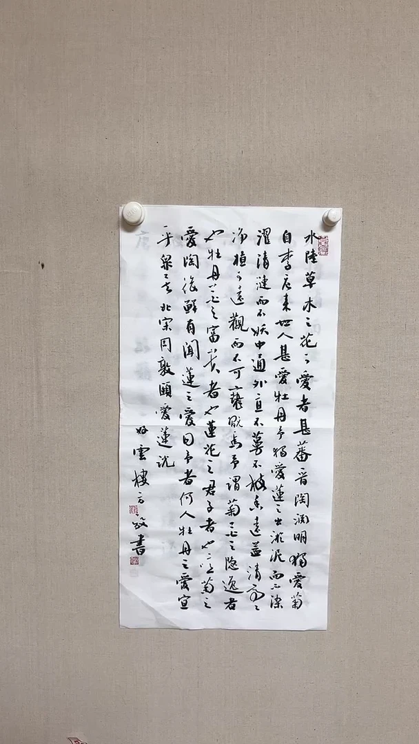 【闪购商品】书法精品老师书法