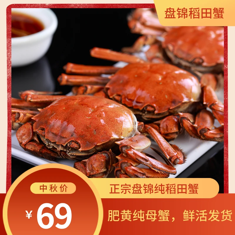 全母蟹【25只活蟹】正宗盘锦稻田蟹全母蟹盘锦河蟹包邮1.1-0.8两/只次日达大母活蟹黄冷链发货中秋送礼