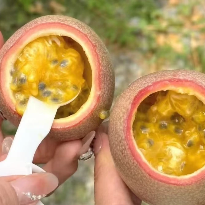 仙食百香果：9.9元一个，0.3斤左右