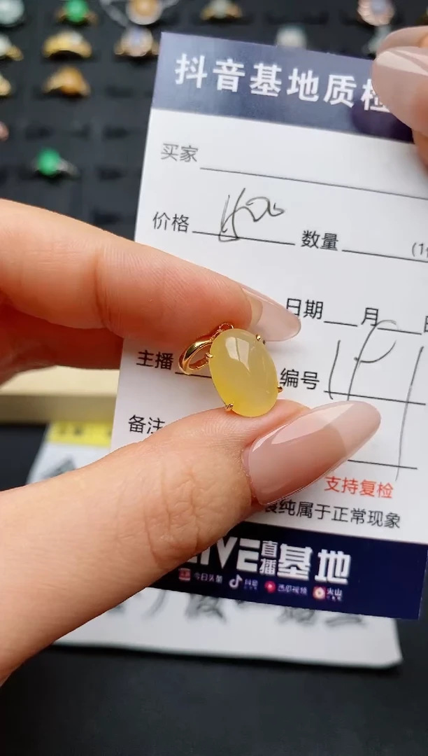 翡翠银S925镶嵌颈饰...........