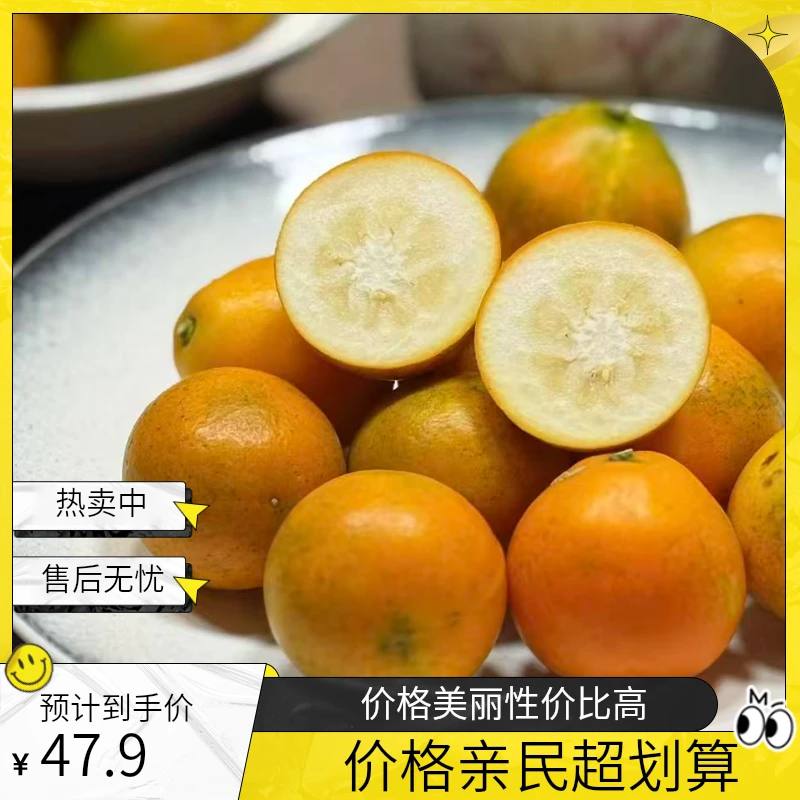 广西融安第三代脆蜜金桔【精品果】脆蜜金柑