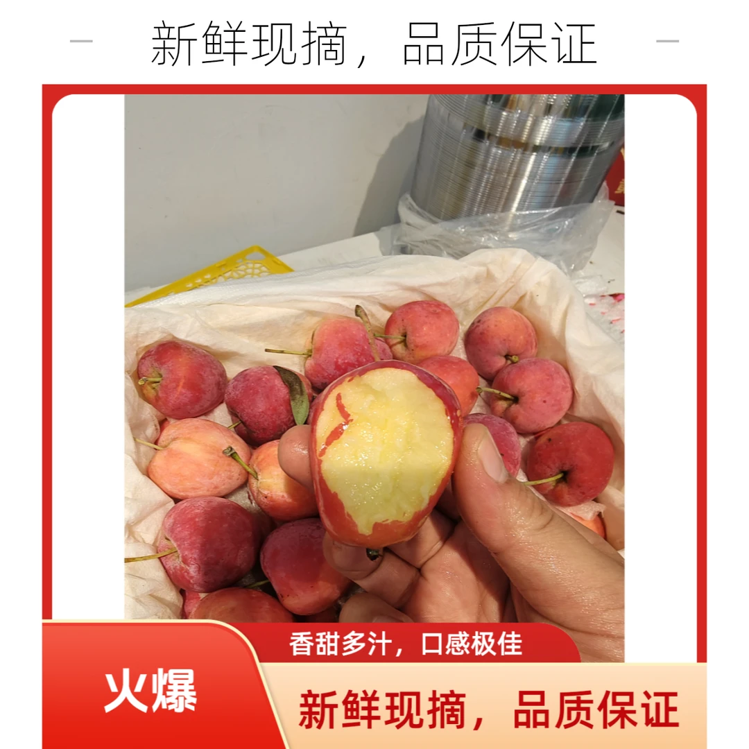 鸡心小苹果一件新疆维吾尔自治区