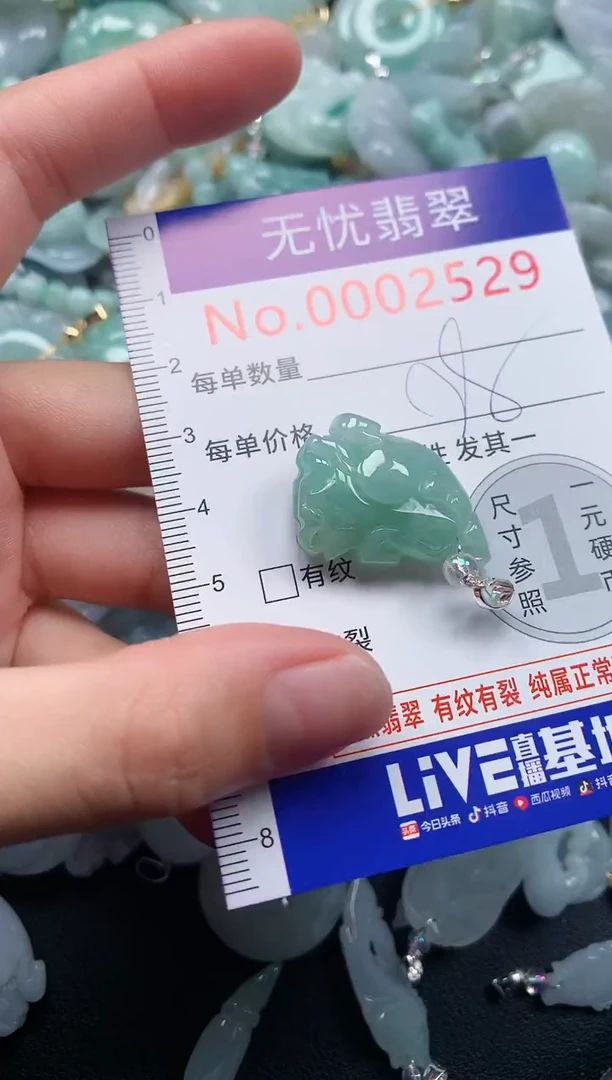 颈饰未镶嵌翡翠2529