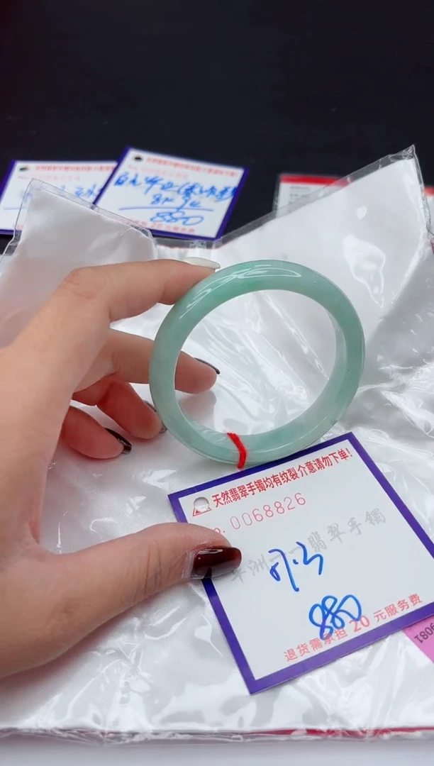 未镶嵌手镯翡翠1111111