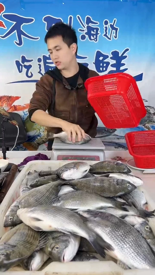 中国大陆渝*午鱼1.7斤  马头鱼2斤  金线鱼1斤（1斤三条）