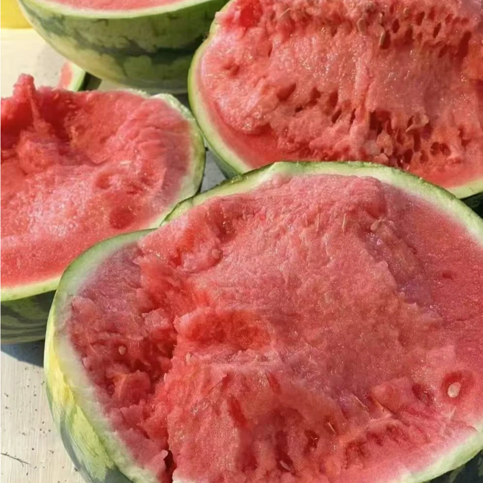 京欣西瓜现摘现发——顺丰包邮新鲜北京市