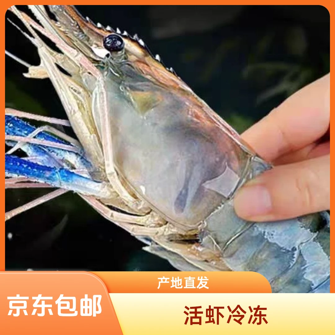 （1软壳罗氏虾）软壳罗氏虾新鲜速冻冷冻淡水虾