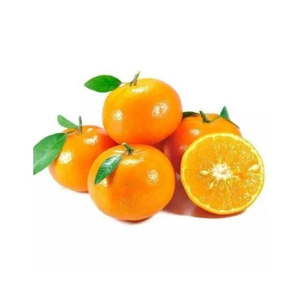 新鲜袋装沃柑5kg 自己分装沃柑