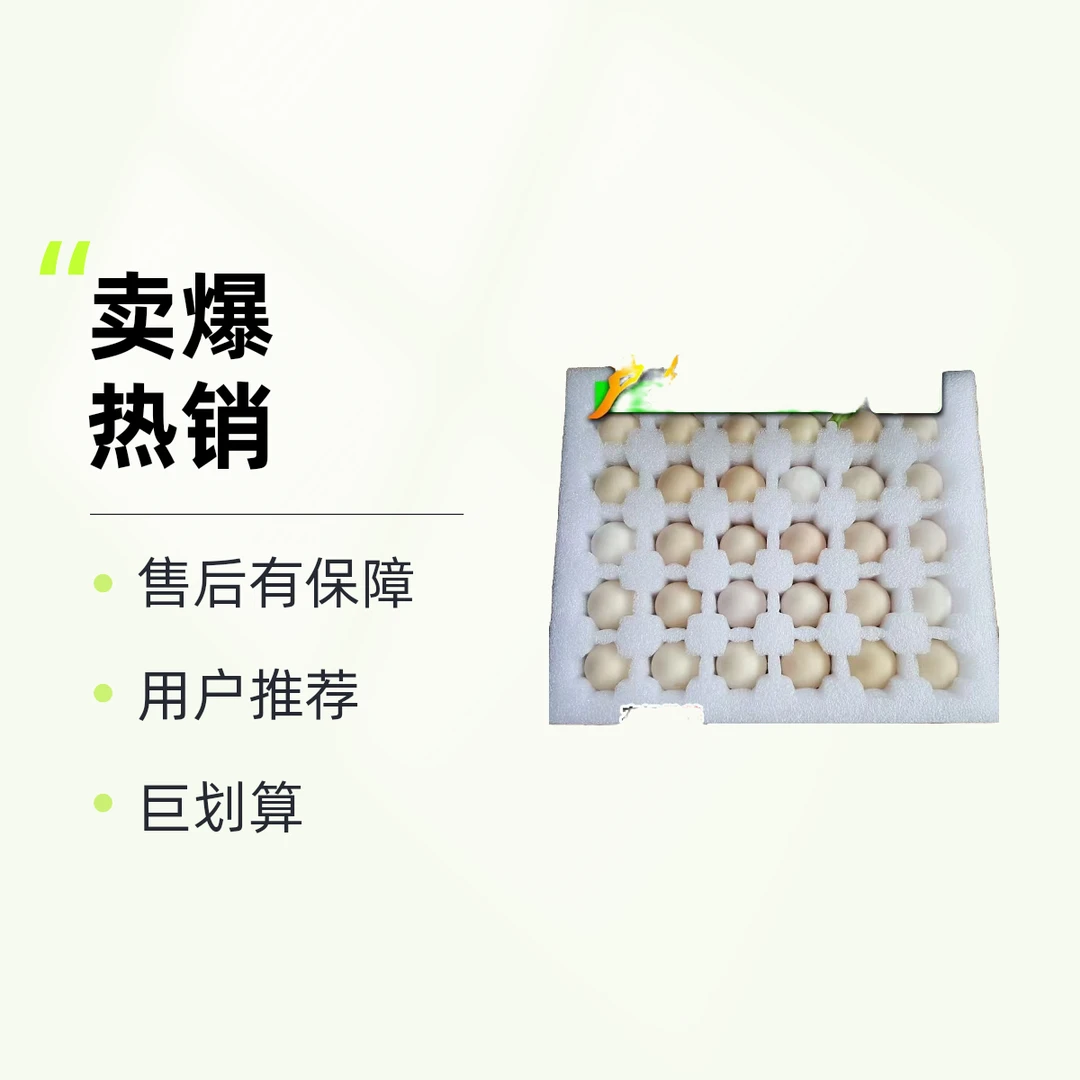 【七个印象品牌】汶上芦花鸡种蛋可孵化土鸡种蛋土鸡蛋授精率高