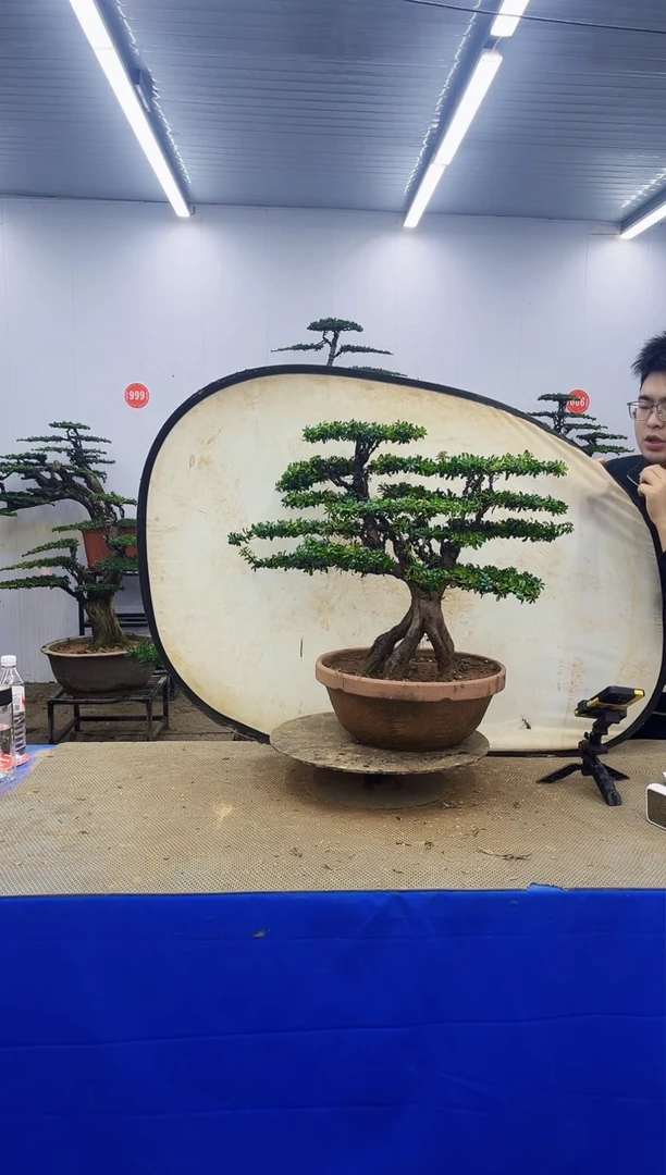 完全开放一物一拍，所见即所得