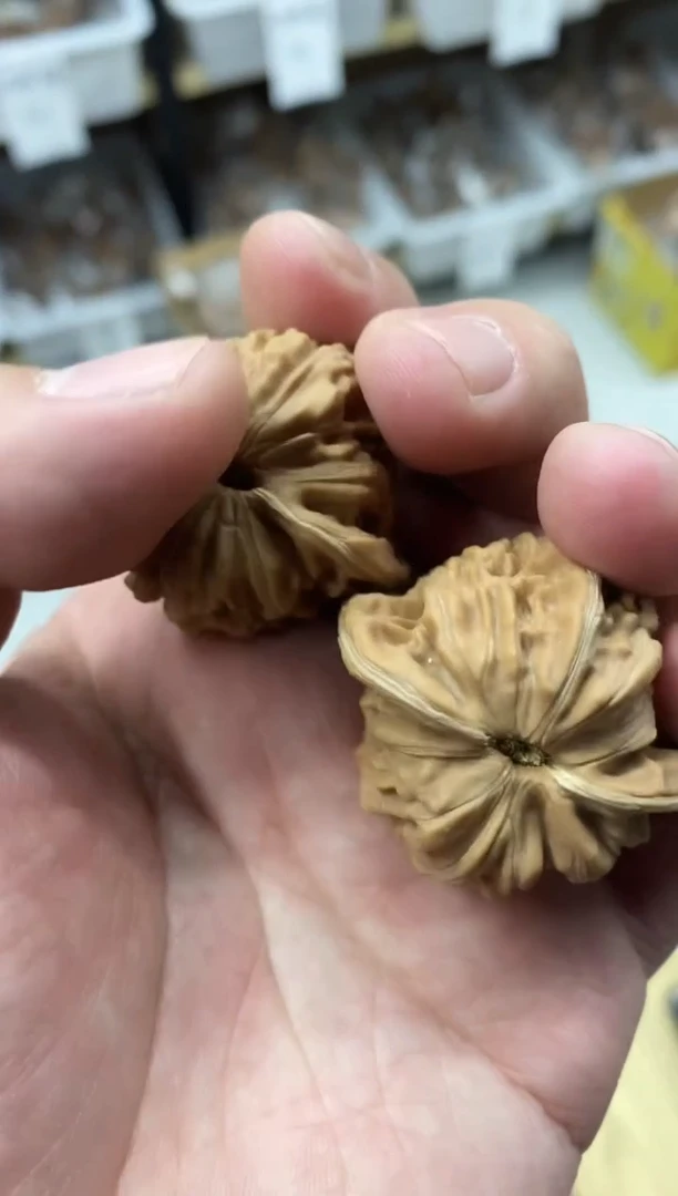 四座楼狮子头A#398766