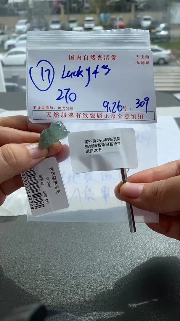 未镶嵌定制翡翠L****儿ucky~鸟儿/17/309