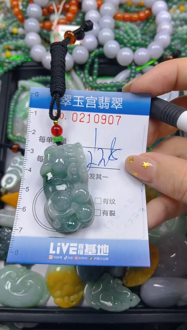 颈饰未镶嵌翡翠闪购C0210907