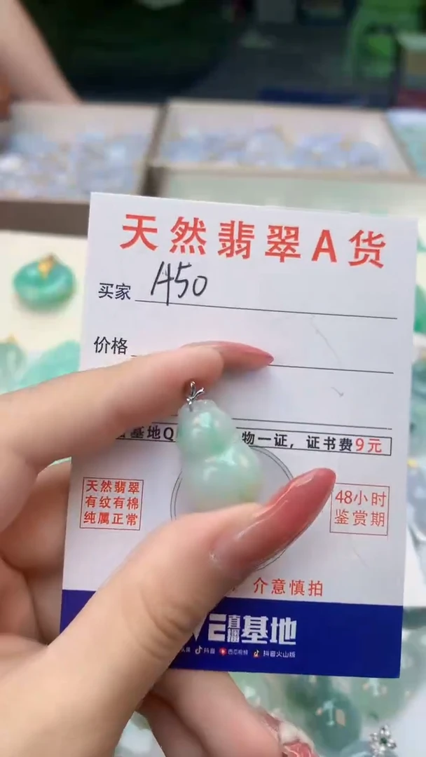 颈饰未镶嵌翡翠天然A货翡翠挂件