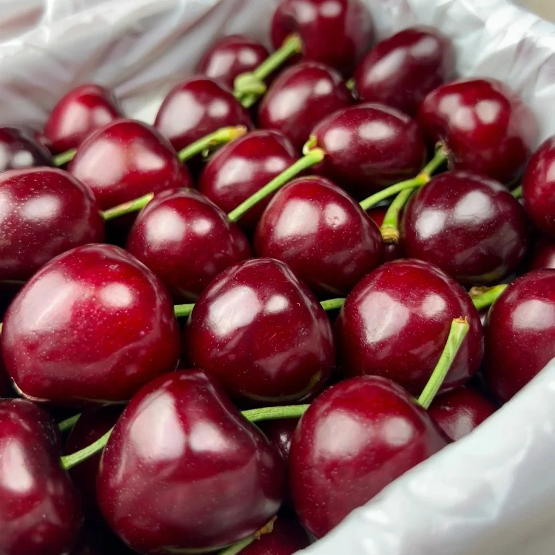 大连金州美早大樱桃3J一箱1.6斤美早