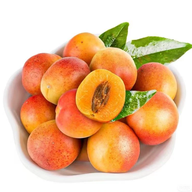 《果虎》新疆吊干杏 一杏两吃 新鲜水果顺丰包邮新疆维吾尔自治区