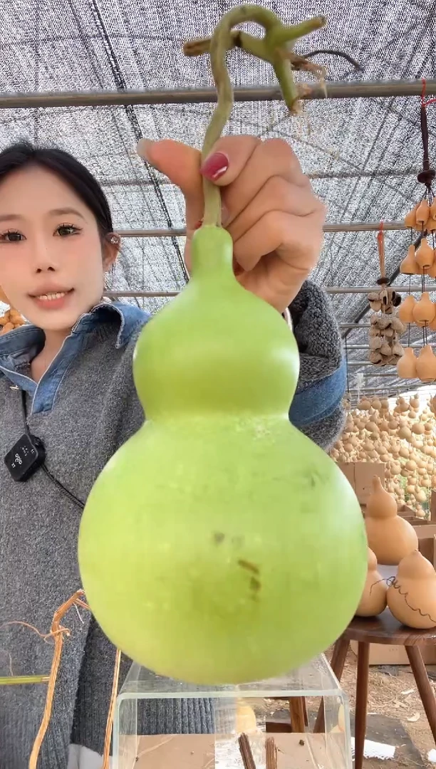 917天然葫芦摆件 一物一拍龙头不保售后微瑕疵