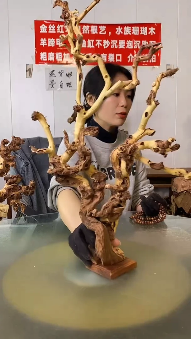 木思*金丝红木  羊蹄甲