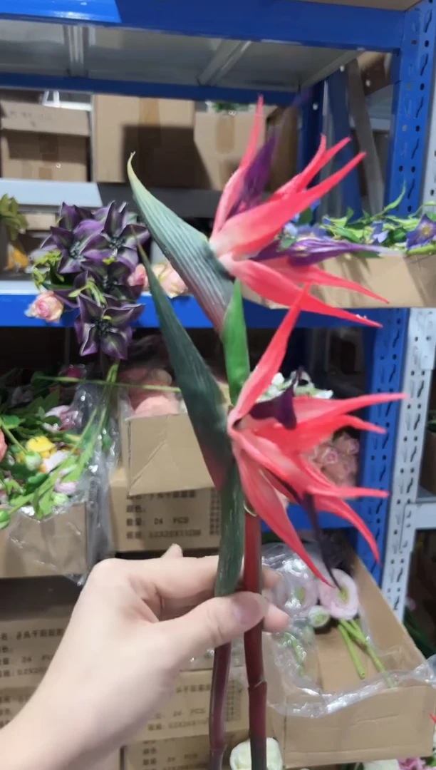 2枝红色天堂鸟