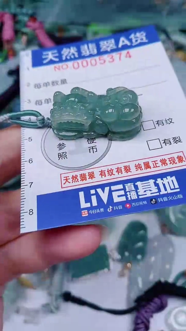 翡翠未镶嵌颈饰00005374