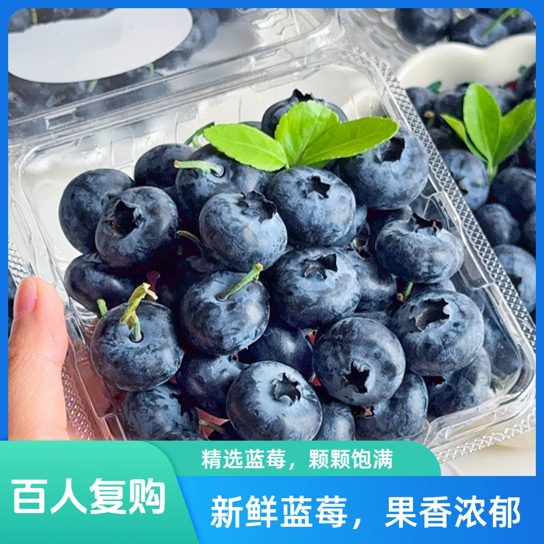 【火热爆品】花香蓝莓云南蓝莓（15mm+）125g蓝莓同城送云南省