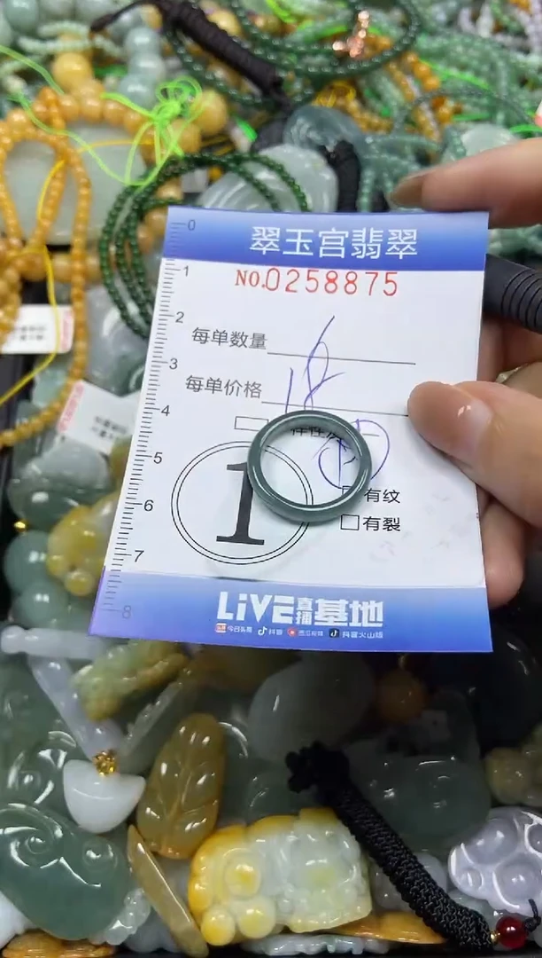 颈饰未镶嵌翡翠闪购C0258875