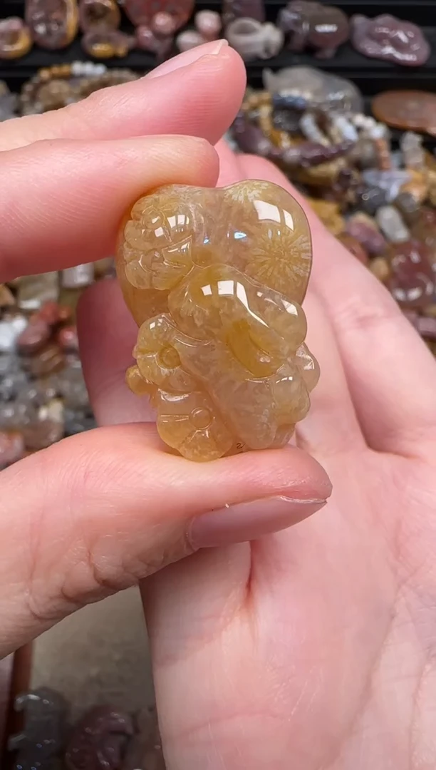 颈饰未镶嵌硅化珊瑚（珊瑚玉）613