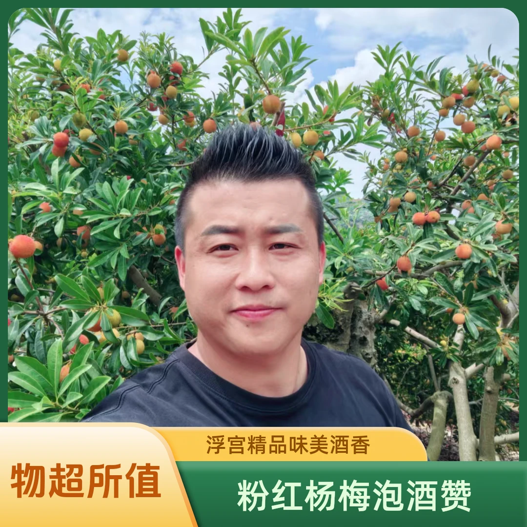 浮宫正宗水晶白杨梅