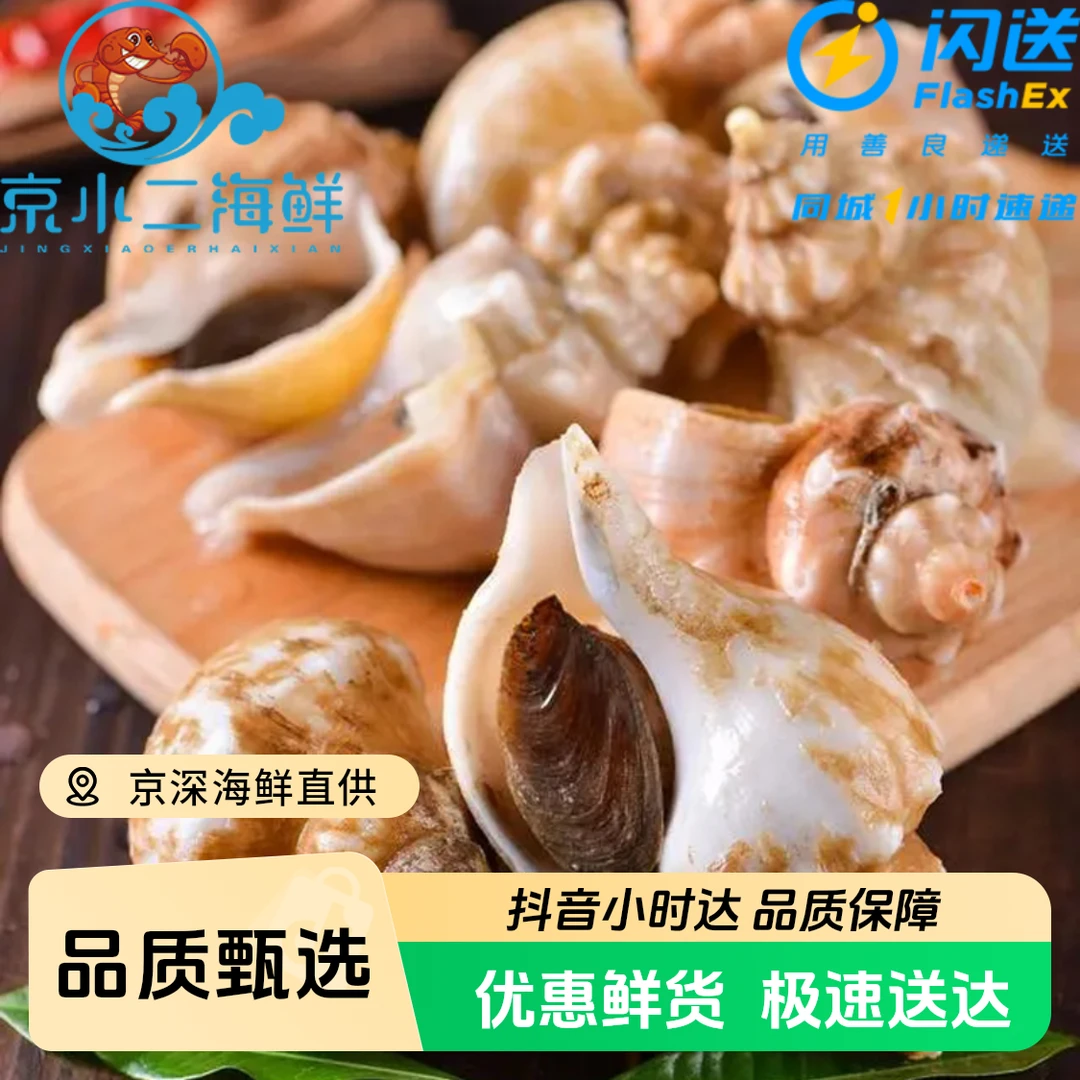 500g鲜活白玉螺 白螺 角螺 海鲜水产