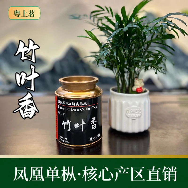 【正春·竹叶香】留枞芝兰王 中轻火碳焙 兰香高雅枞韵显 凤凰单枞茶