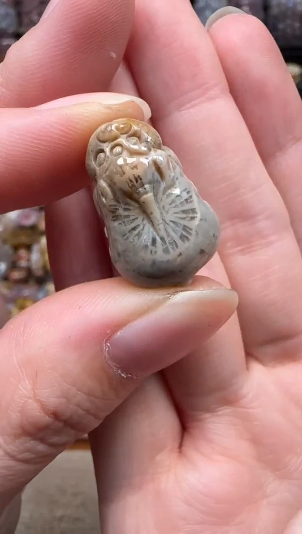 颈饰未镶嵌硅化珊瑚（珊瑚玉）057