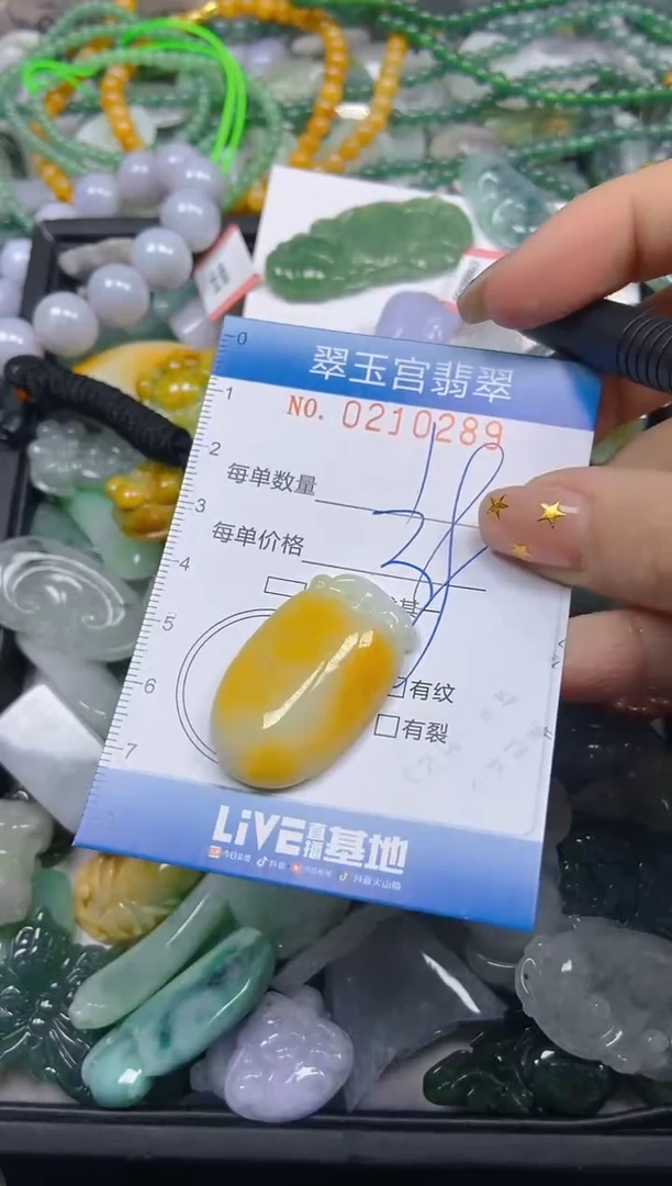 颈饰未镶嵌翡翠闪购C0210289
