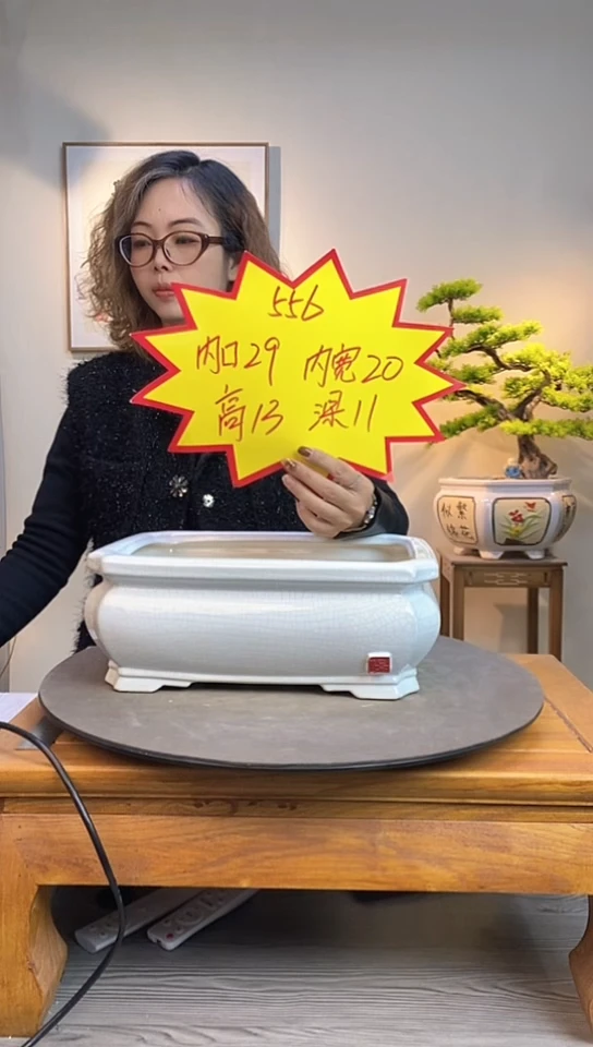 【闪购商品】陶瓷556白色