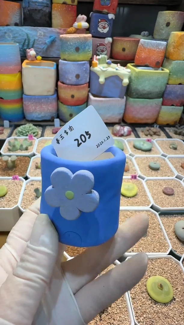 【闪购商品】25.1.25-205阿昭