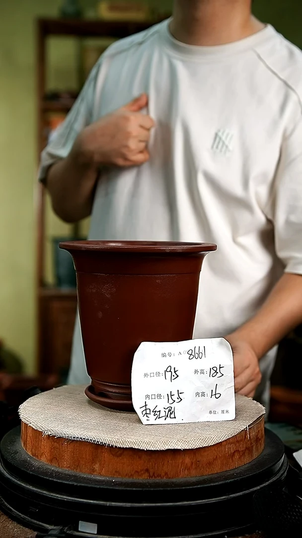 紫砂花盆花卉园艺8661+z