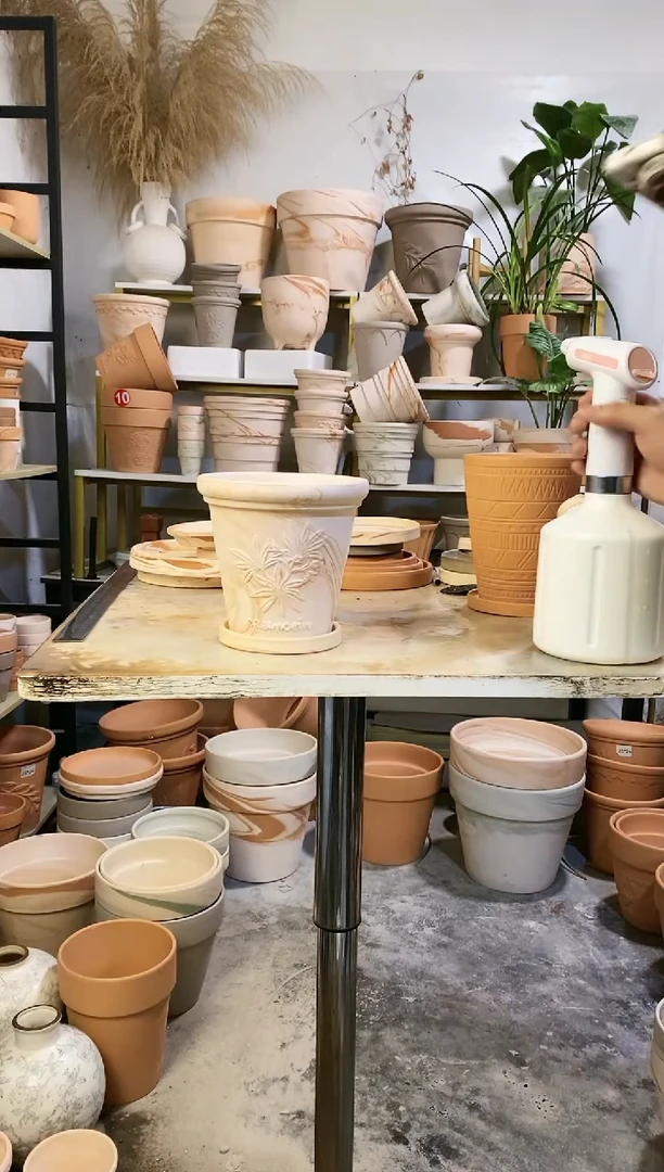 16*15玛奇朵香草 1盆1托