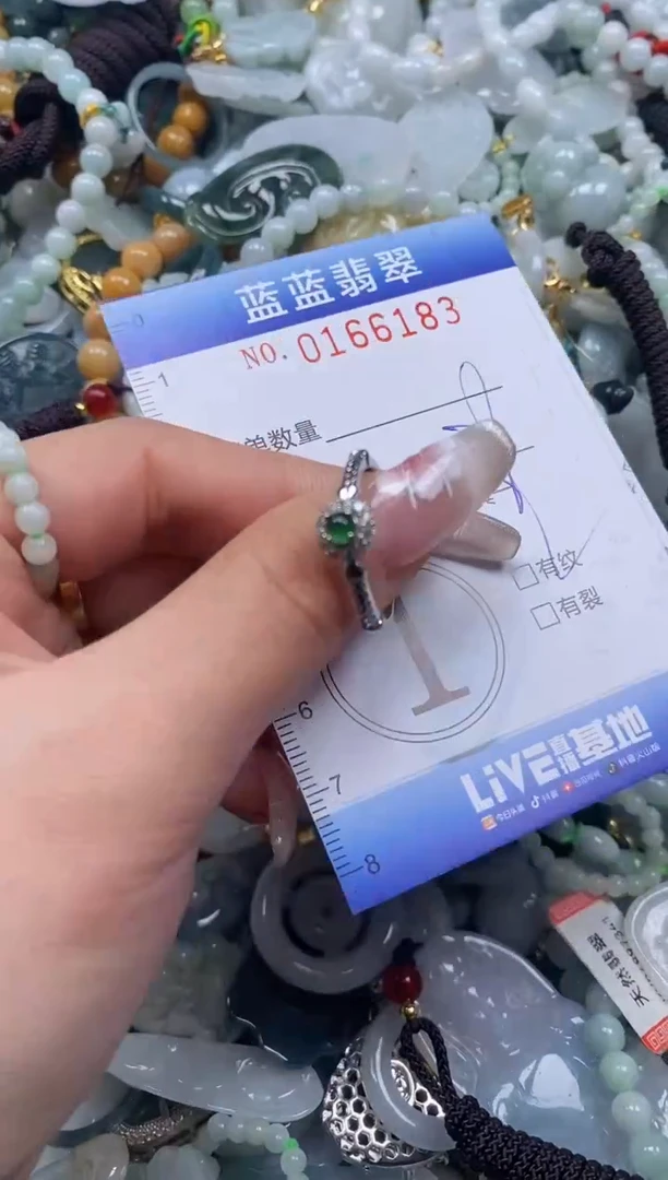 【闪购商品】翡翠颈饰未镶嵌闪购0166183