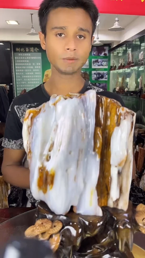 未镶嵌珠宝奇石硅化玉缅甸天然树化玉摆件