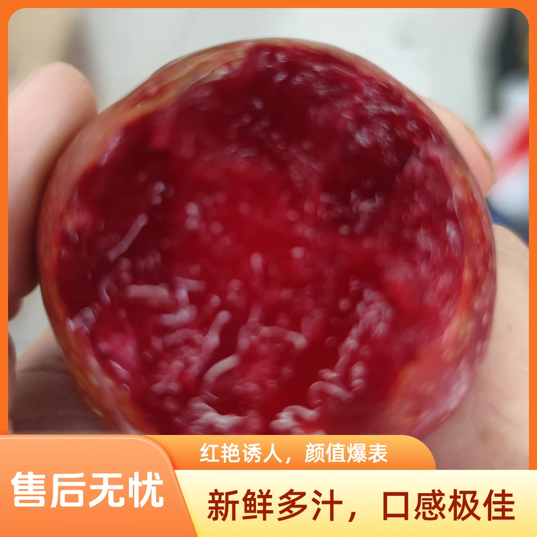 新鲜李子一份（三斤）