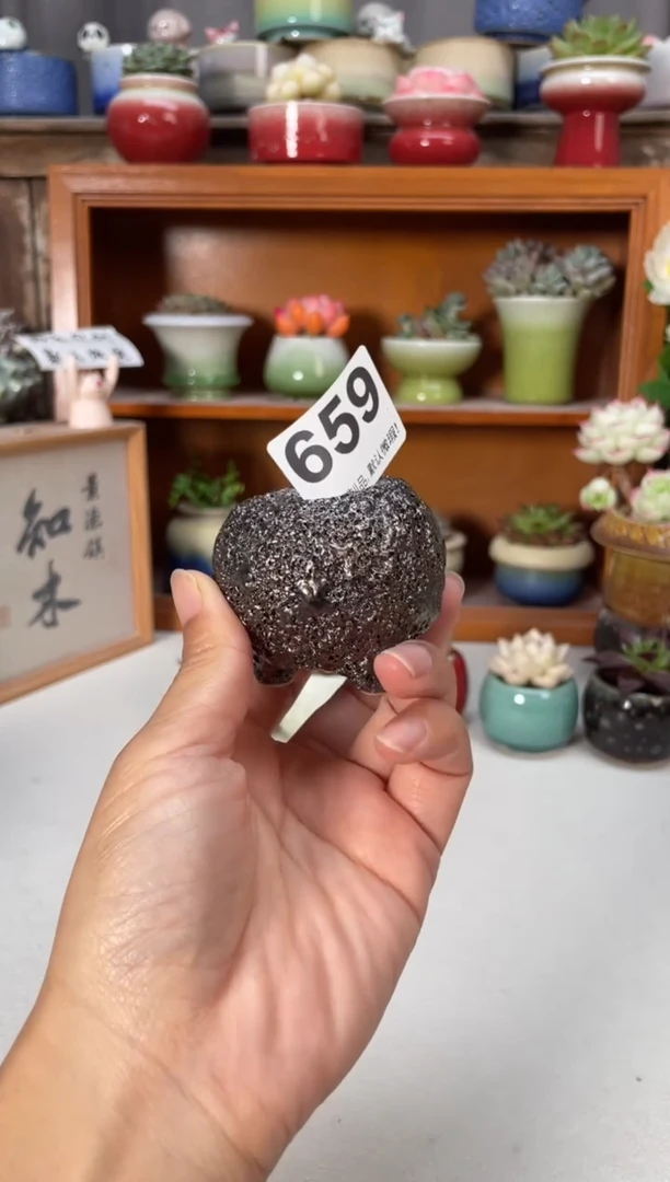瓷片659知木小芳花盆