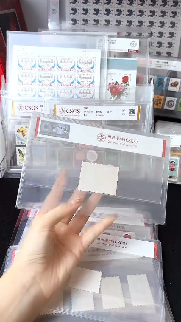 文9盖