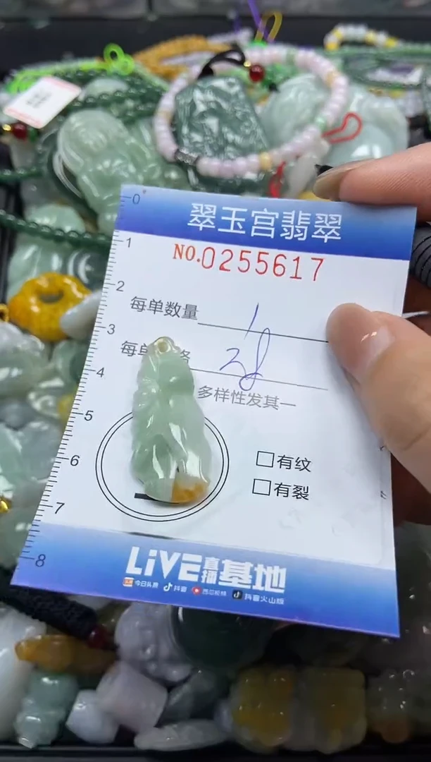 颈饰未镶嵌翡翠闪购C0255617