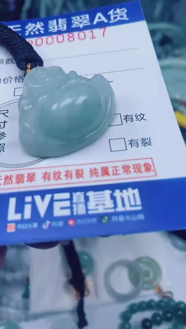 颈饰未镶嵌翡翠00008017