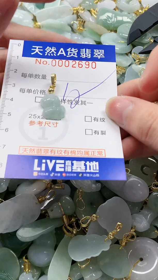 颈饰未镶嵌翡翠纯天然a货翡翠