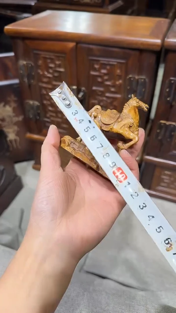 木黄杨马11111111111