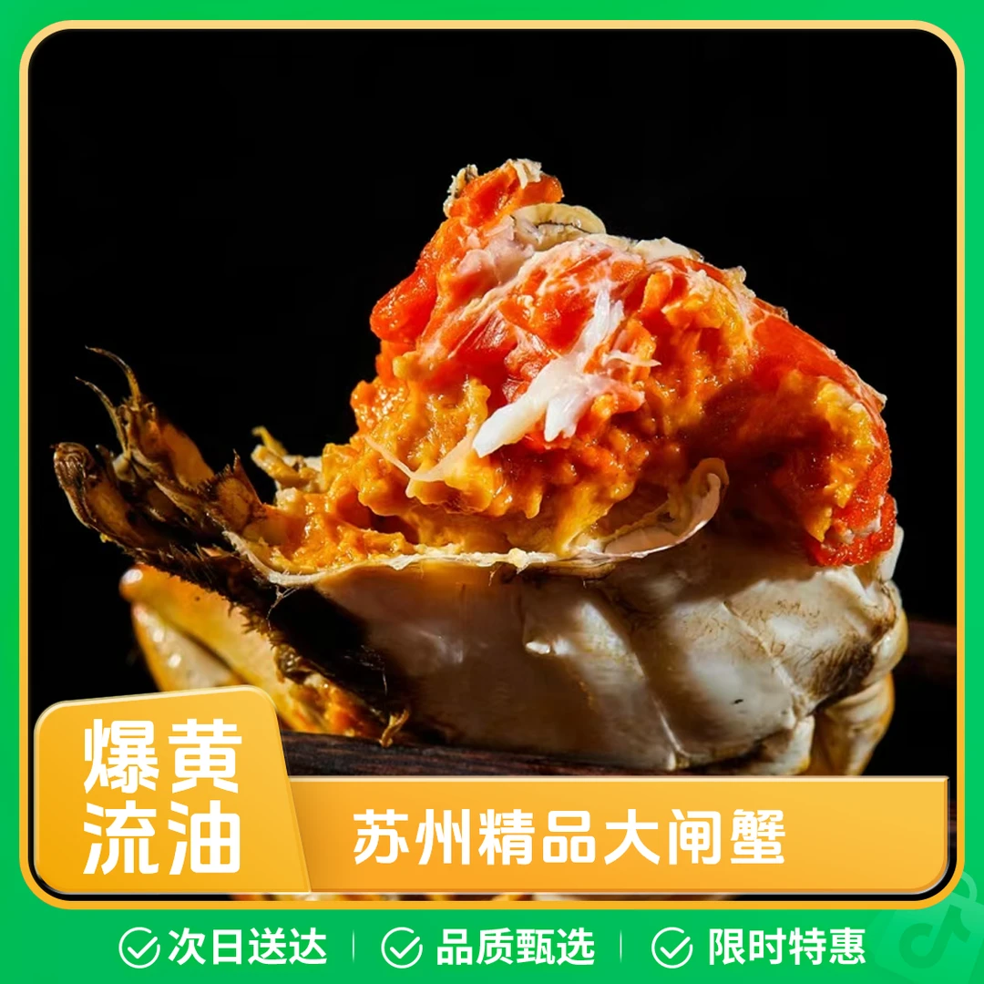 【活蟹全母蟹】精品大闸蟹 全母蟹3.1-2.8两10只 礼盒装