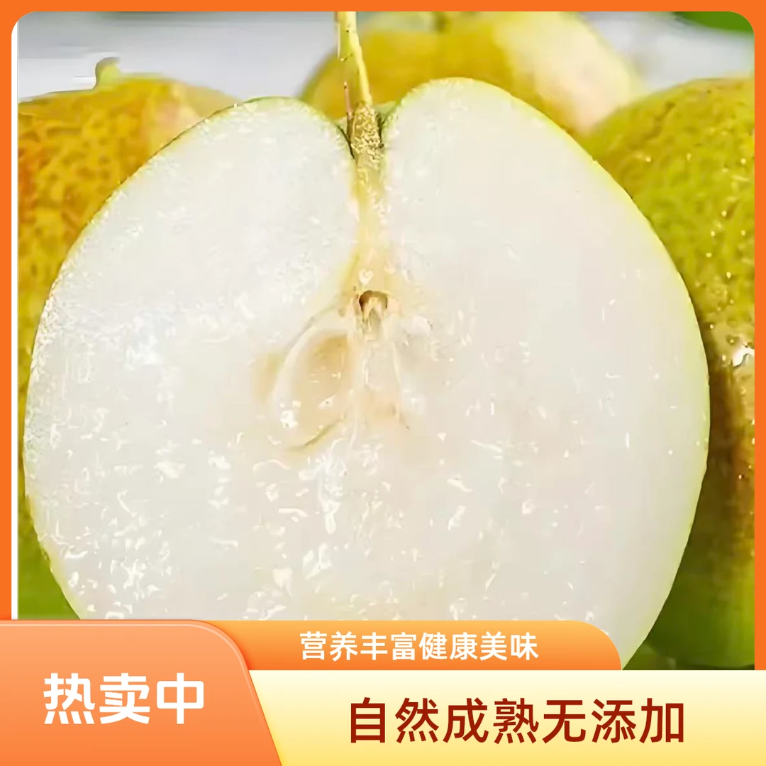 山西运城玉露香酥梨！生态种植一口爆汁脆甜无渣当天现摘产地直发