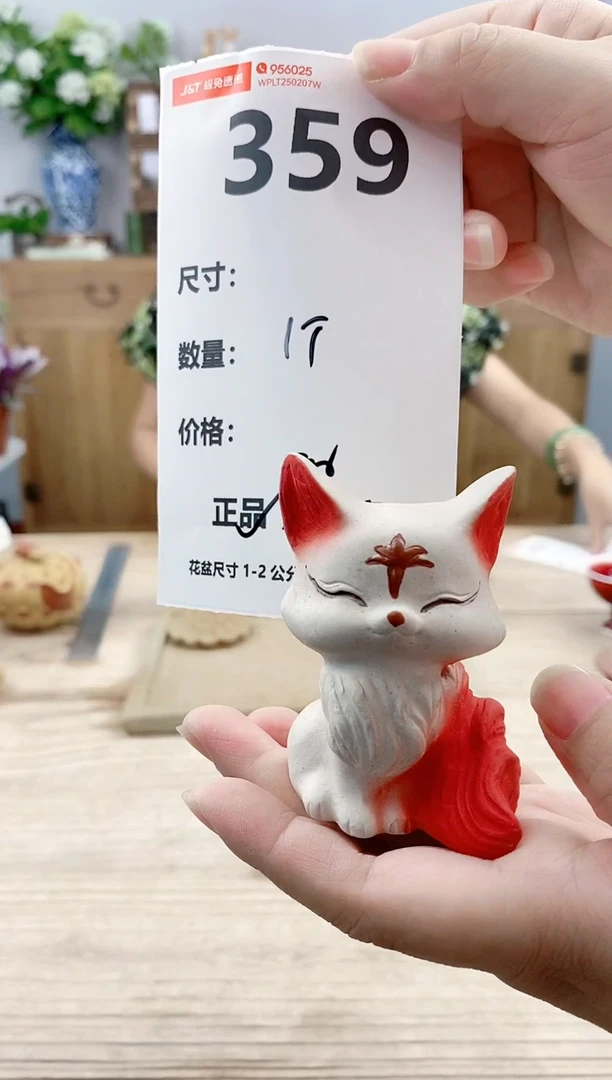 小玩子花盆直播号359