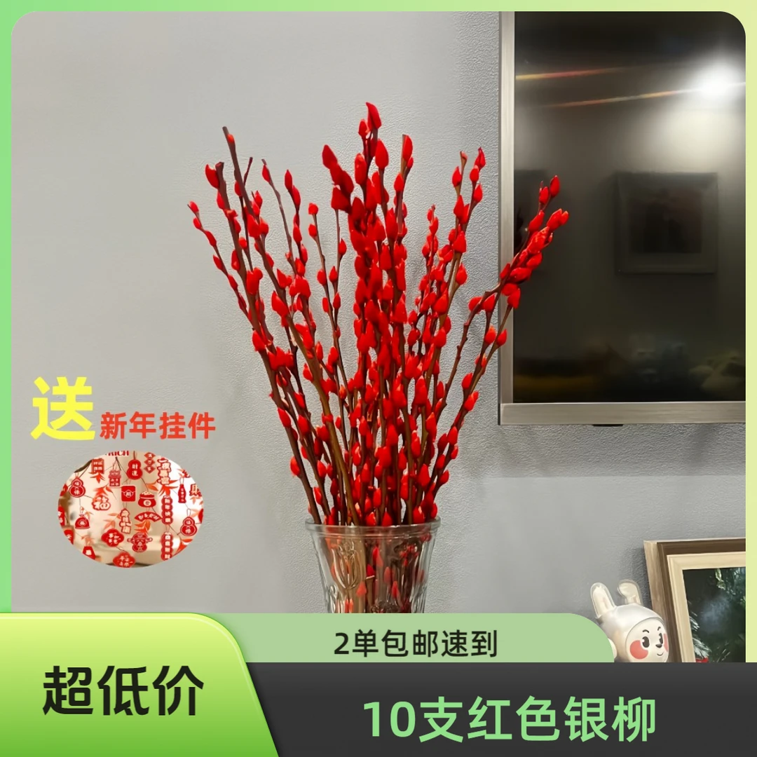 【红色银柳10支65公分左右高】2单包邮今天下单明天到次日达