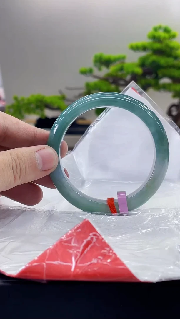 未镶嵌手镯翡翠5